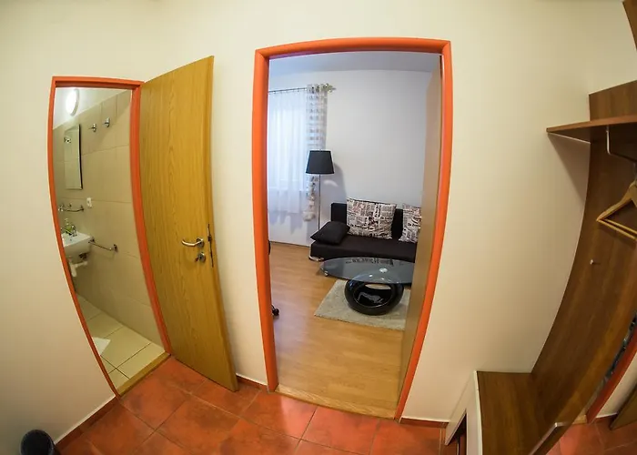 Rose 브르제츨라프